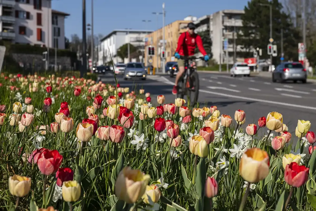 &copy; Marino Trotta – Ville de Lausanne